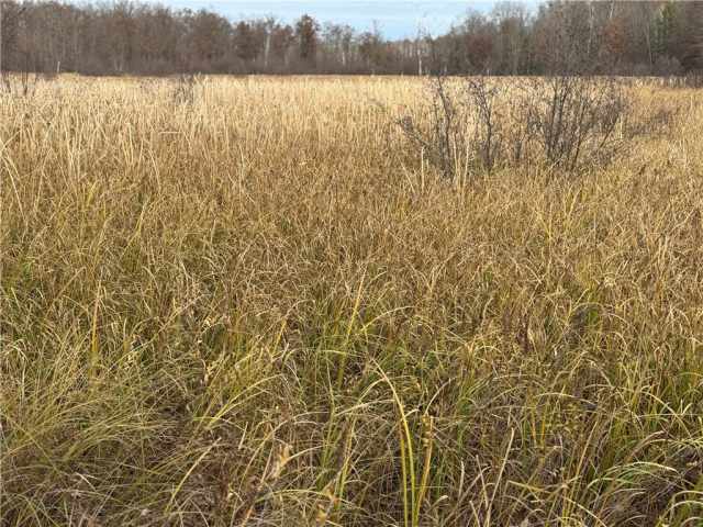 Granton Land Real Estate