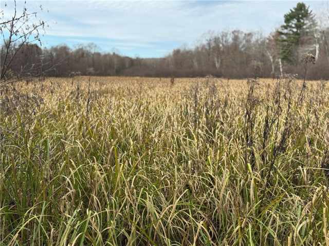 Granton Land Real Estate