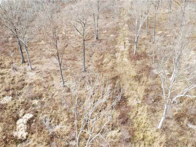 Granton Land Real Estate