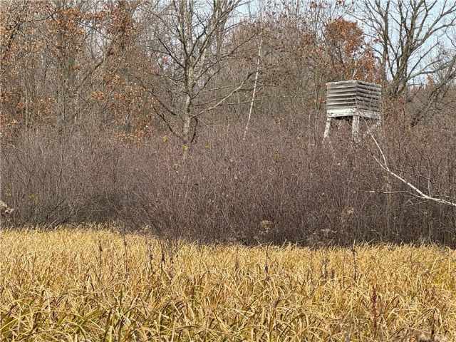 Granton Land Real Estate