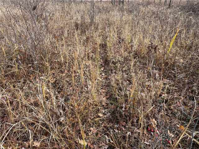 Granton Land Real Estate