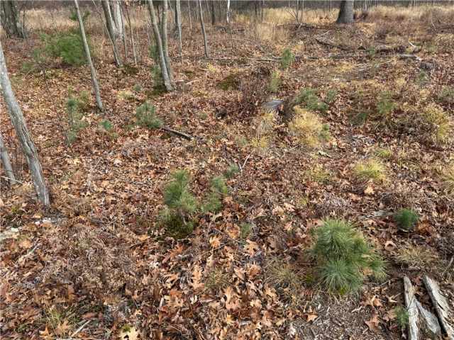 Granton Land Real Estate