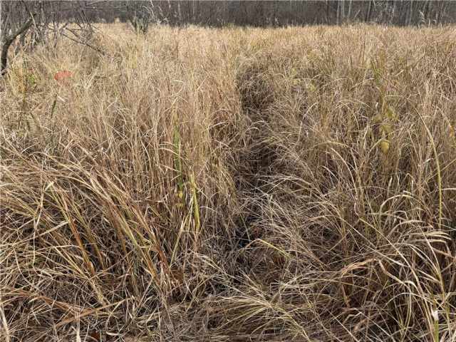 Granton Land Real Estate