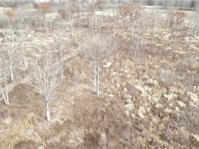 Granton Land Real Estate