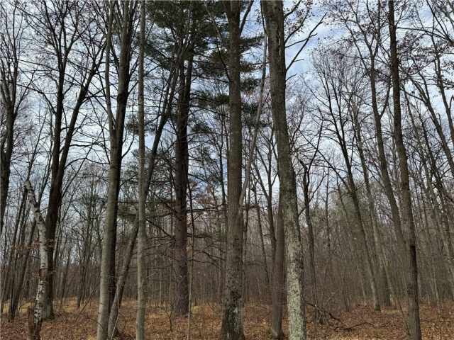 Granton Land Real Estate