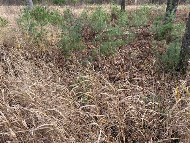 Granton Land Real Estate