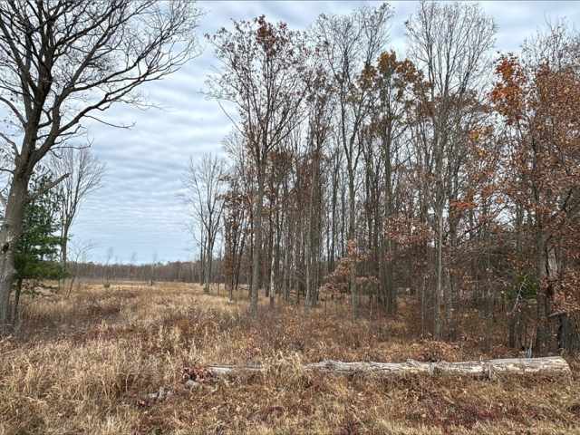 Granton Land Real Estate