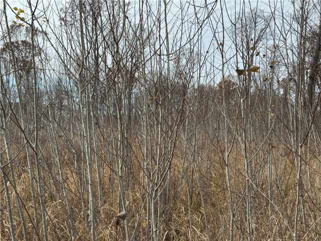 Granton Land Real Estate