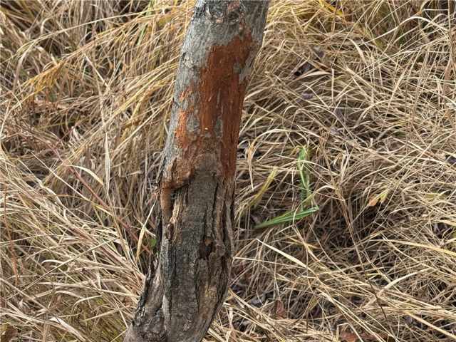 Granton Land Real Estate