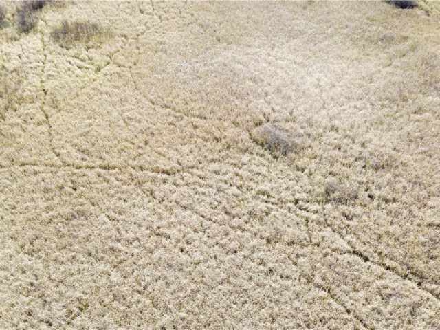 Granton Land Real Estate