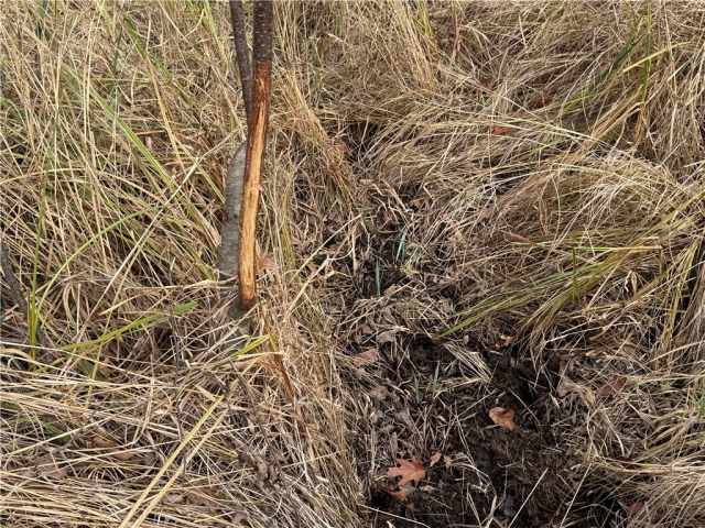 Granton Land Real Estate