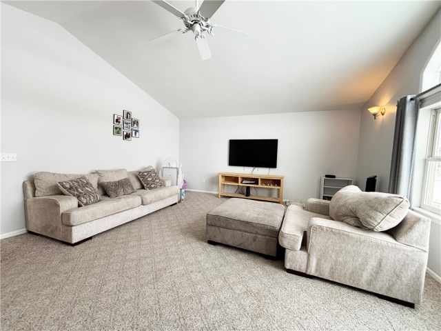 Bruce Residential Real Estate