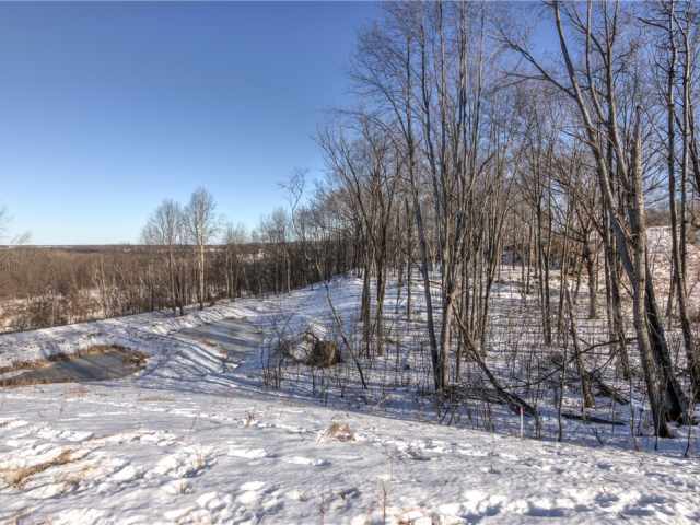 Eau Claire Residential Real Estate