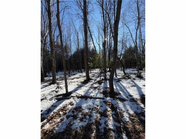 Humbird Land Real Estate