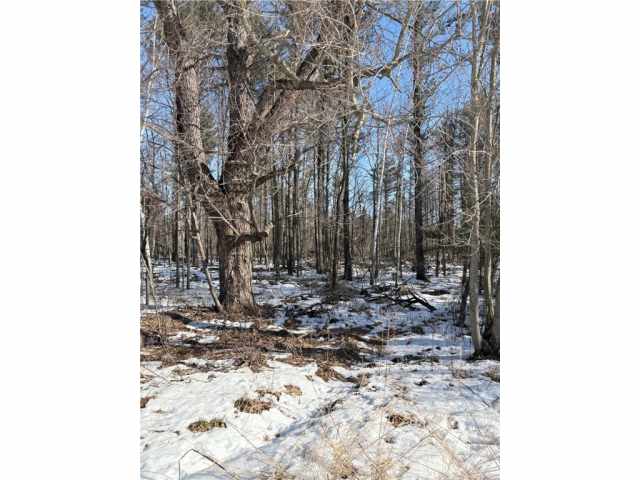 Humbird Land Real Estate