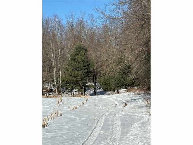 Humbird Land Real Estate