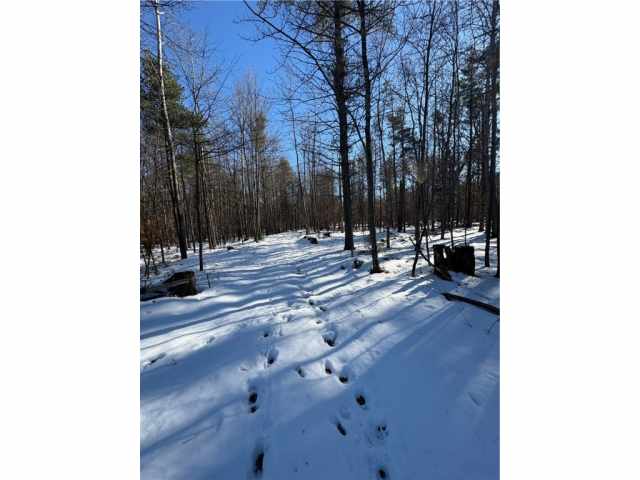 Humbird Land Real Estate