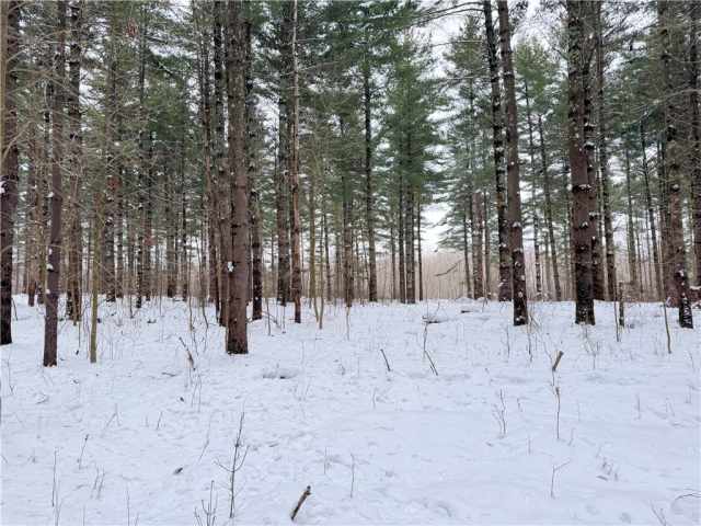 Rice Lake Land Real Estate