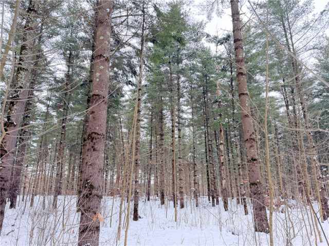 Rice Lake Land Real Estate