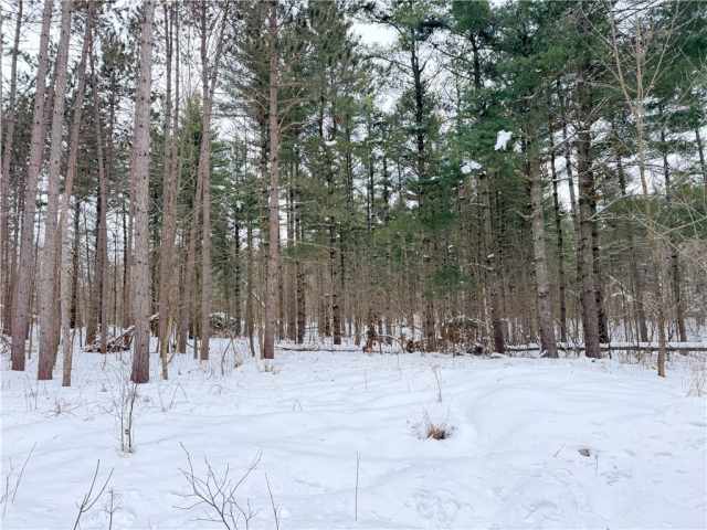 Rice Lake Land Real Estate