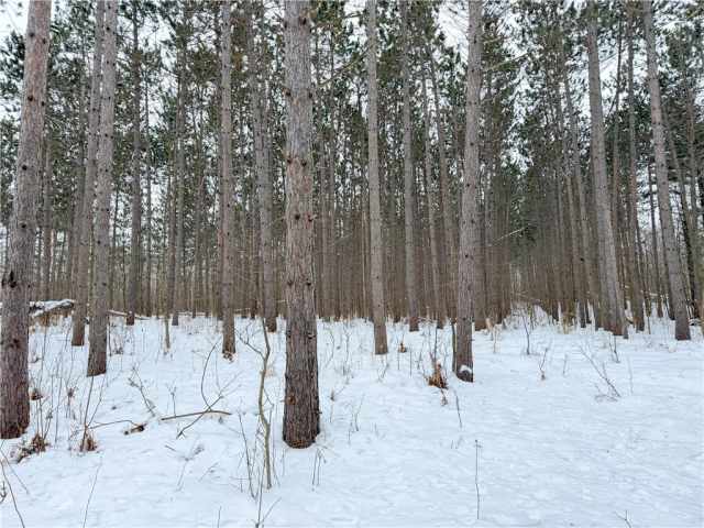 Rice Lake Land Real Estate