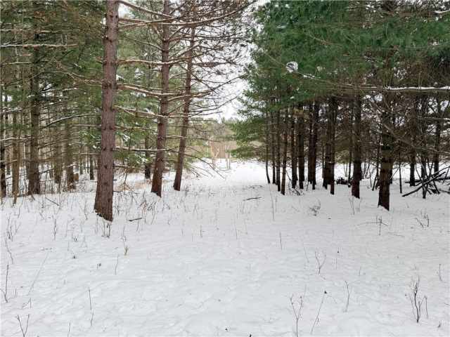 Rice Lake Land Real Estate