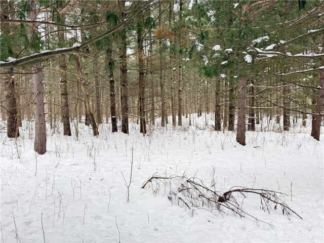 Rice Lake Land Real Estate