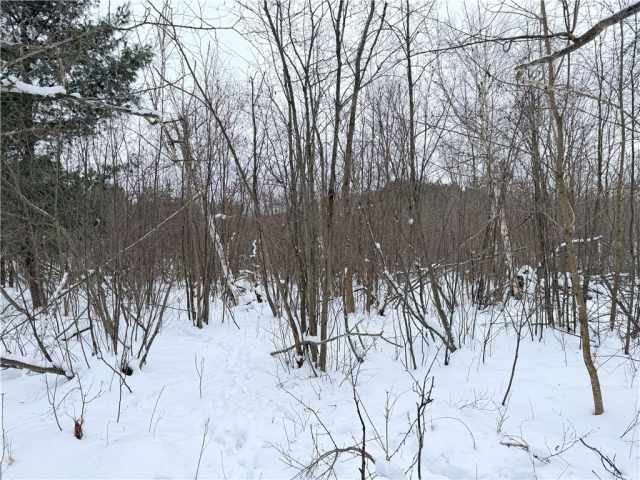 Rice Lake Land Real Estate