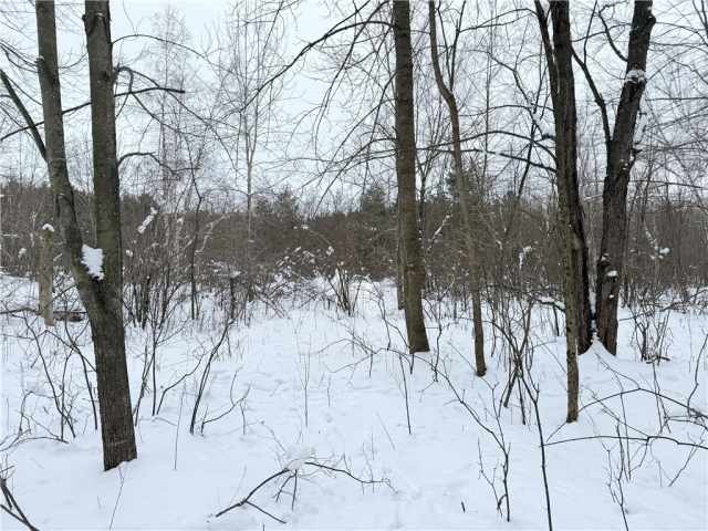 Rice Lake Land Real Estate