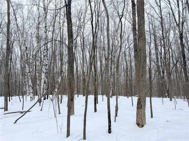 Rice Lake Land Real Estate