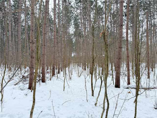 Rice Lake Land Real Estate