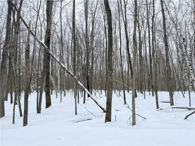 Rice Lake Land Real Estate