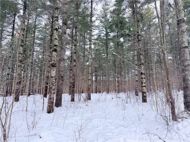 Rice Lake Land Real Estate