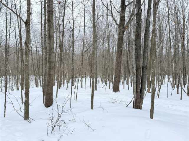 Rice Lake Land Real Estate