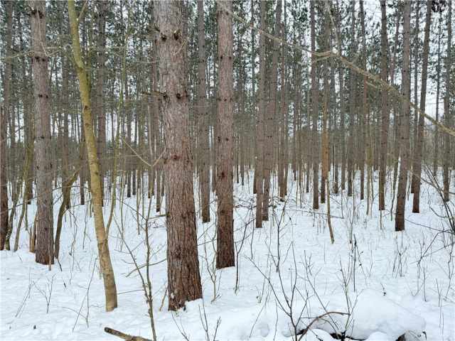 Rice Lake Land Real Estate