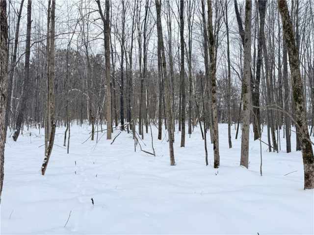 Rice Lake Land Real Estate