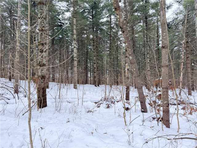 Rice Lake Land Real Estate