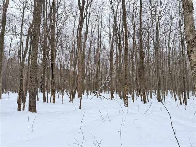 Rice Lake Land Real Estate