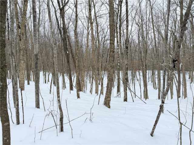 Rice Lake Land Real Estate