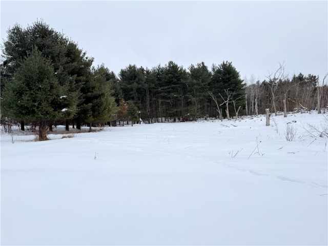 Rice Lake Land Real Estate