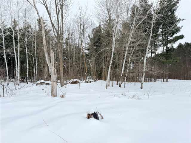 Rice Lake Land Real Estate