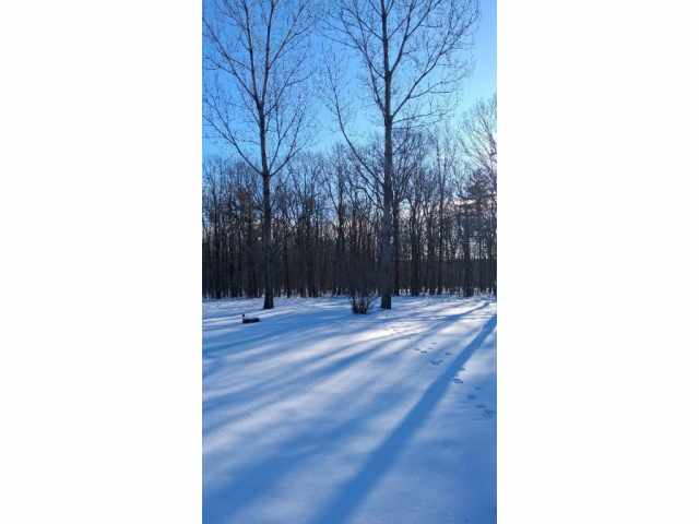 Boyd Land Real Estate