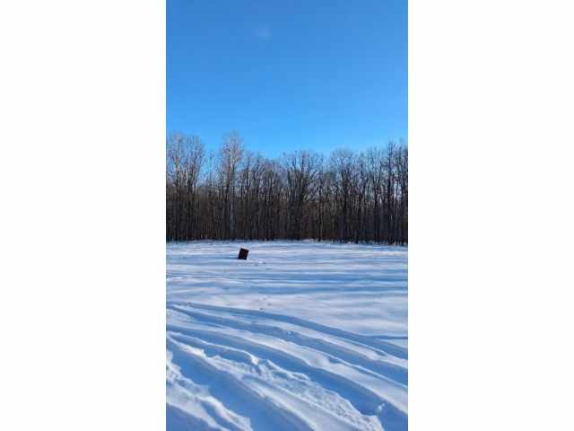 Boyd Land Real Estate