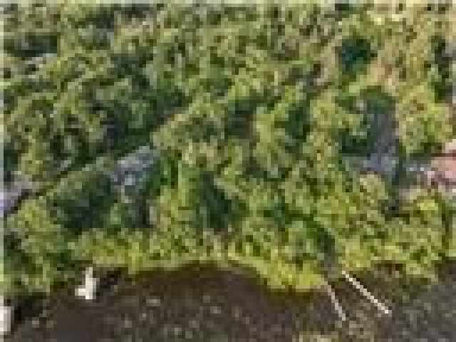 Chippewa Falls Land Real Estate
