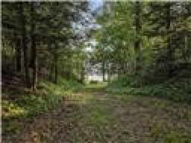 Chippewa Falls Land Real Estate