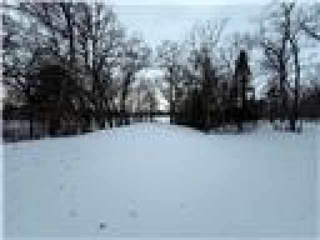 Chippewa Falls Land Real Estate