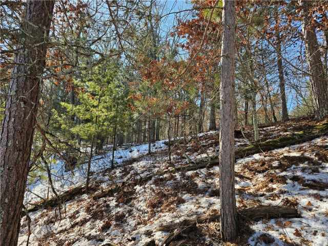 Minong Land Real Estate