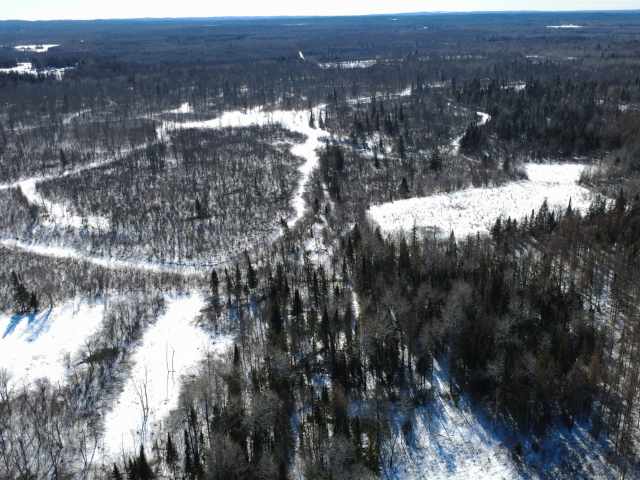 Prentice Land Real Estate