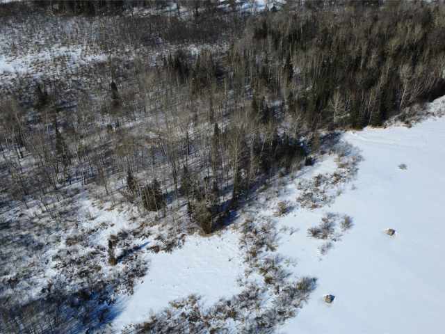 Prentice Land Real Estate