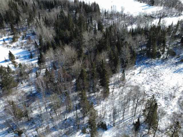 Prentice Land Real Estate